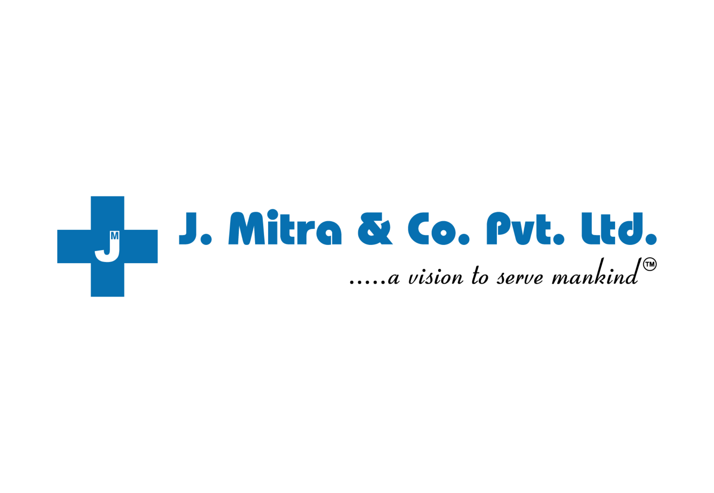 Software development company