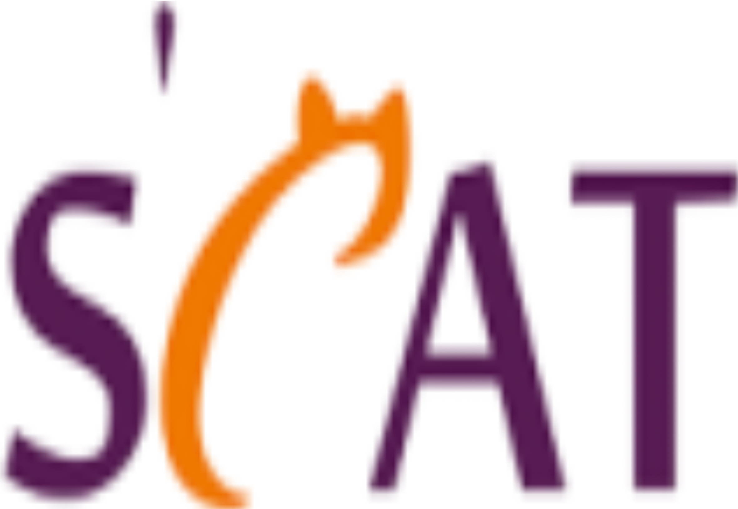 Software development services